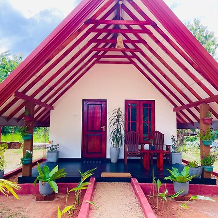 Sigiri Enaya Cottage สิกิริยา ภายนอก รูปภาพ