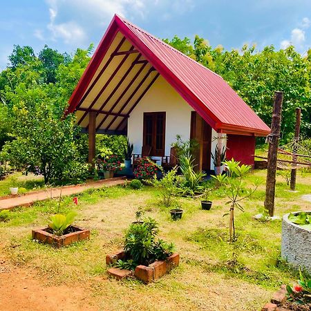 Sigiri Enaya Cottage สิกิริยา ภายนอก รูปภาพ