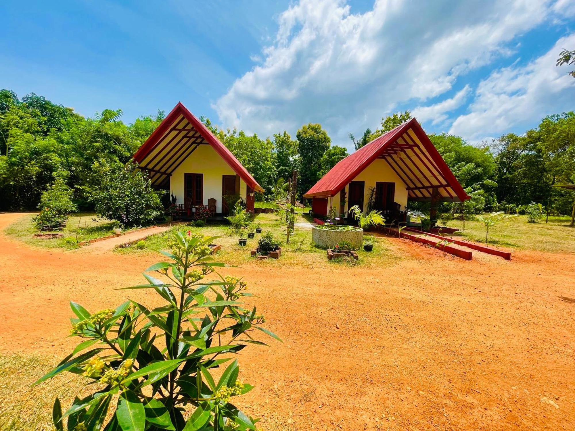 Sigiri Enaya Cottage สิกิริยา ภายนอก รูปภาพ