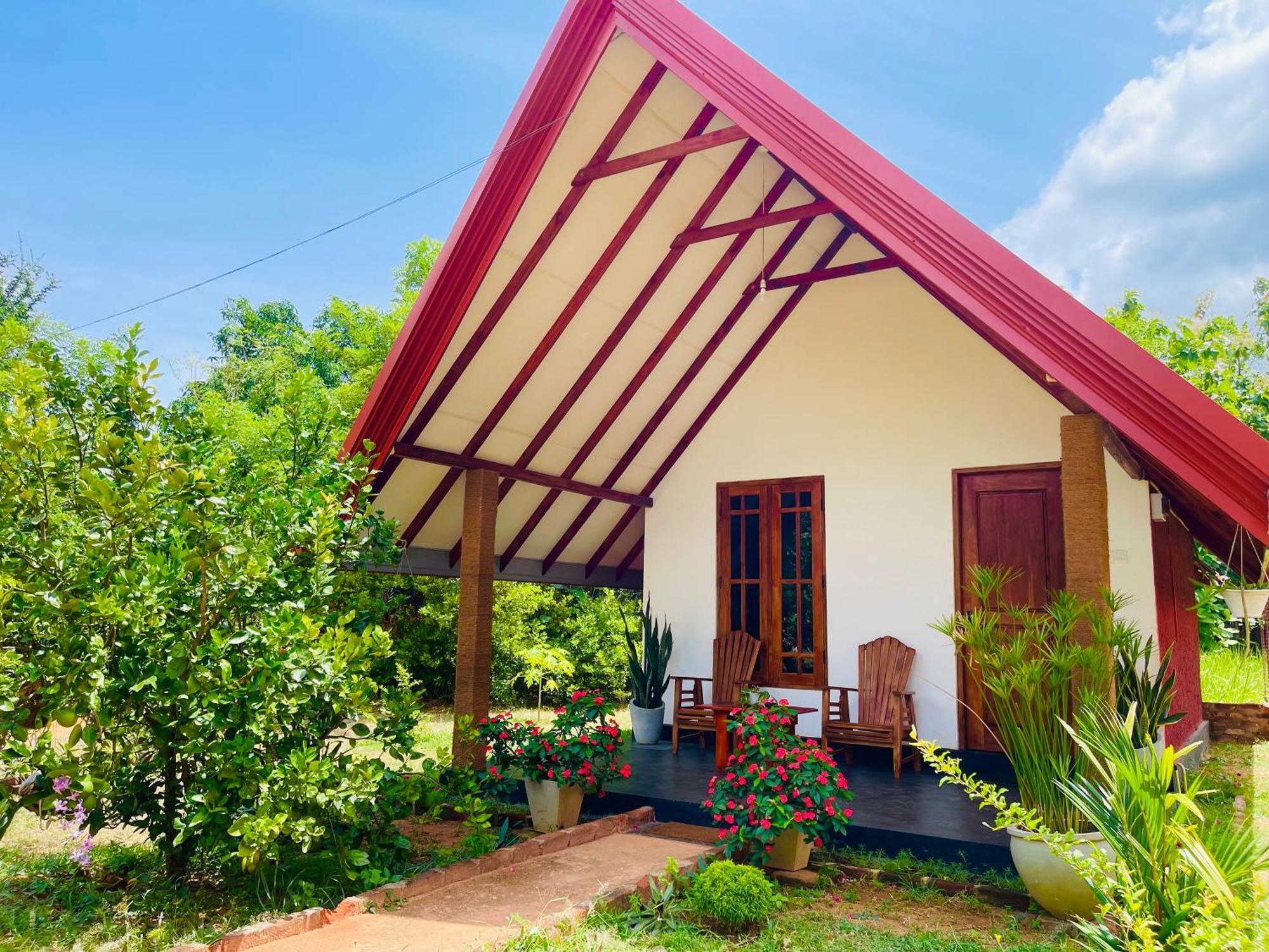 Sigiri Enaya Cottage สิกิริยา ภายนอก รูปภาพ