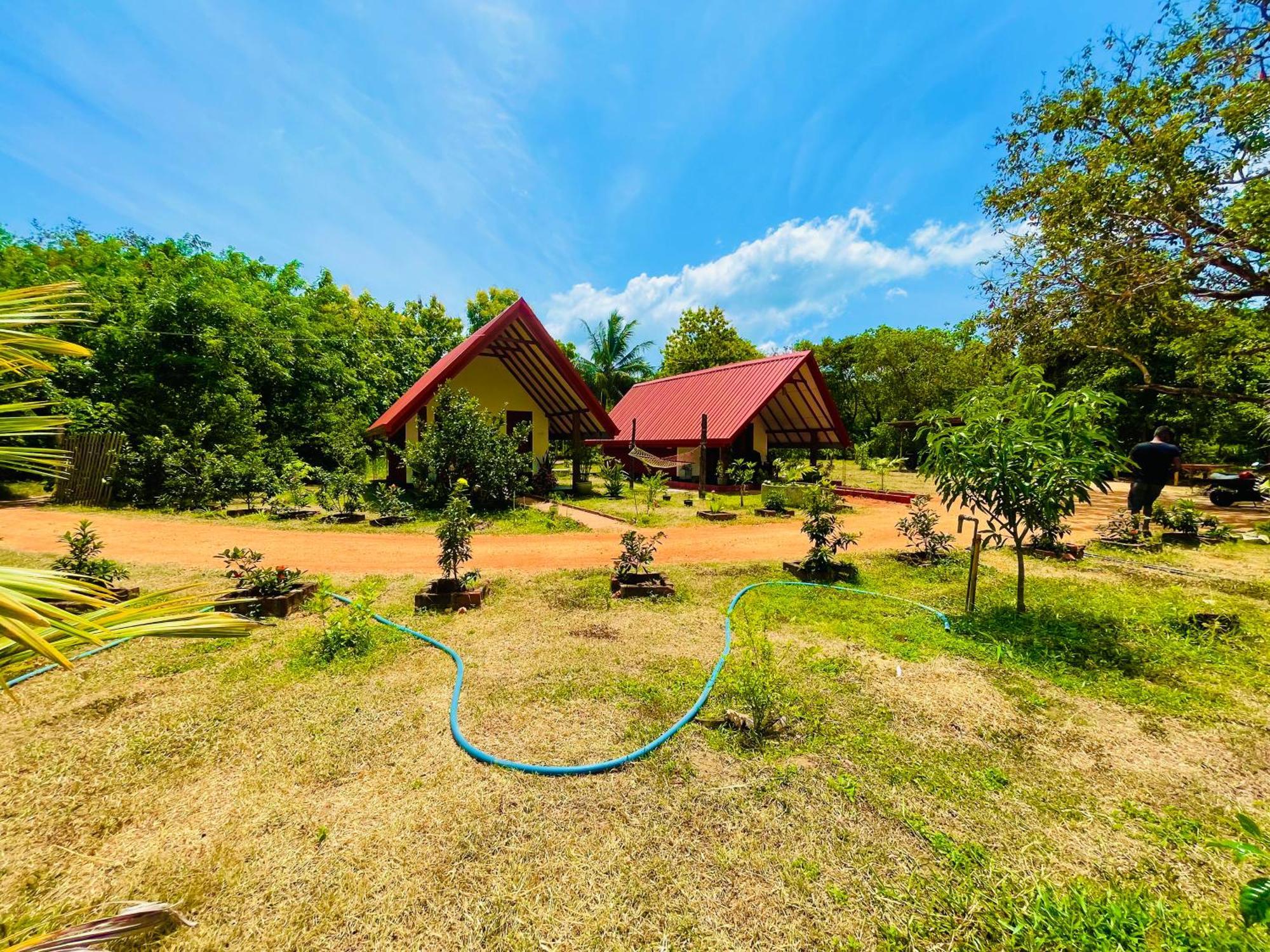 Sigiri Enaya Cottage สิกิริยา ภายนอก รูปภาพ